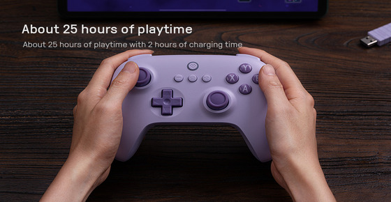 8BitDo Controller